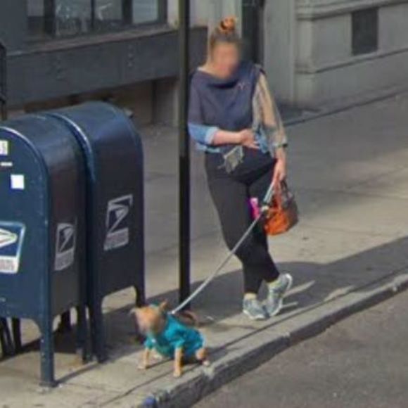 Meet your Posher, Grace - Picture 1 of 1